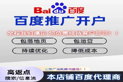 百度竞价排名案例：打造爆款广告的秘诀